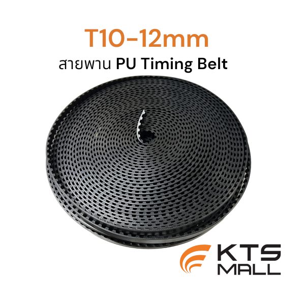 T10-12mm Belt (1)