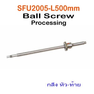 SFU2005-L500mm.Processing